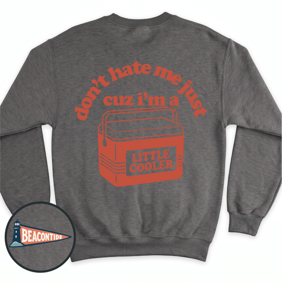 Little Cooler crewneck sweatshirt in Dark Heather, back view — small cooler graphic with the line Little Cooler, BeaconTide
