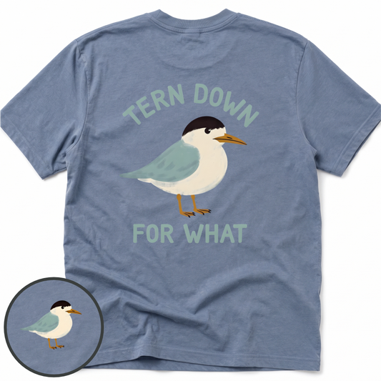 Tern Down Comfort Colors t-shirt in Blue Jean, back view — tern on the water, Tern Down For What, BeaconTide