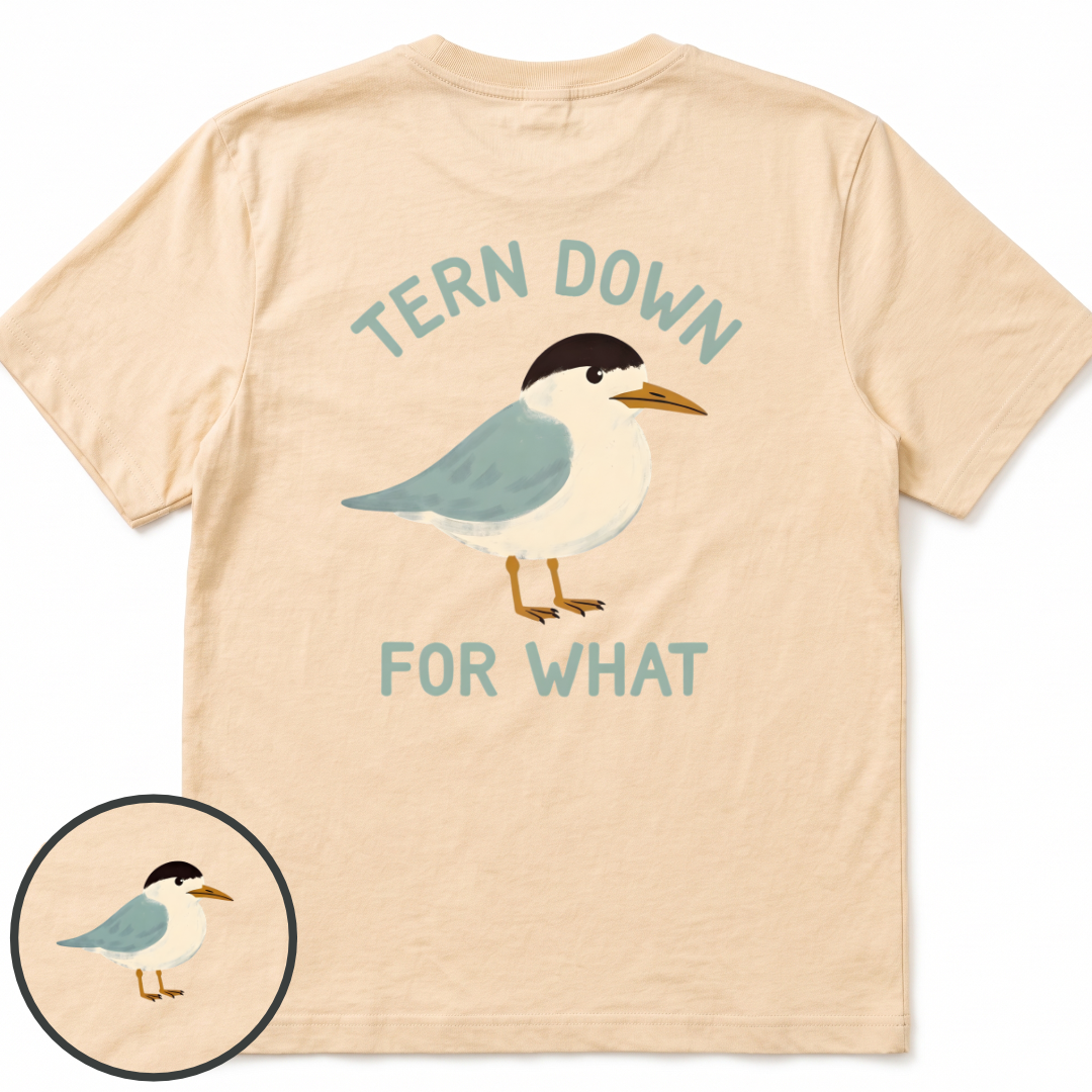 Tern Down Comfort Colors t-shirt in Ivory, back view — tern on the water, Tern Down For What, BeaconTide